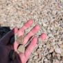 Decorative stone / gravel Image 3
