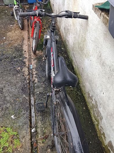 Apollo Xc.60 S ladies mountain bike