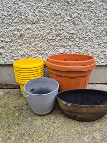 Various plant pots free to take away.