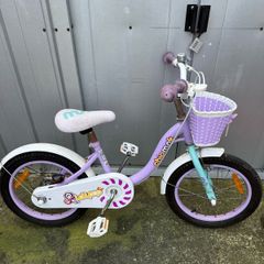 16 inch chipmunk bike