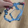 puppy harness Image 2