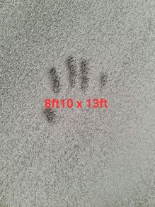 carpet 8ft10 x 13ft