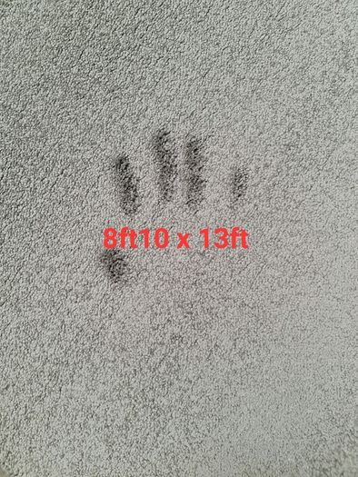 carpet 8ft10 x 13ft