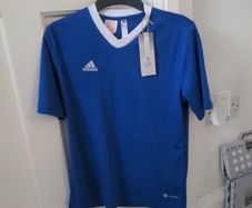 Adidas T-shirt