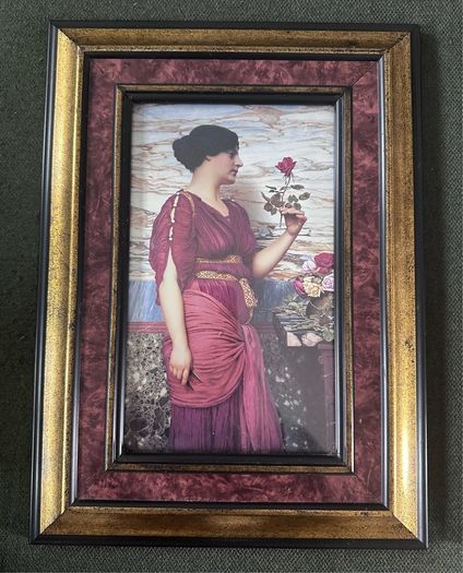 Vintage framed prints pair