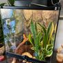 Exo Terra Glass Terrarium  45x45x60cm Image 2