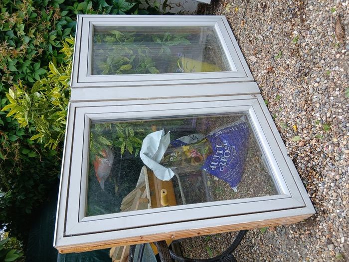 French doors & windows