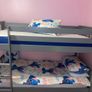 Bunk Image 3