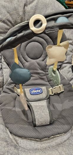 Graco chicco hoopla bouncer