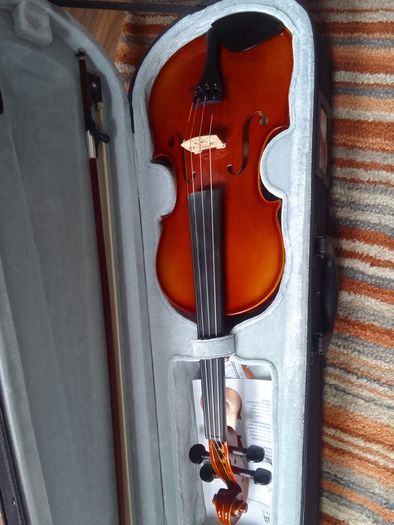 Violin