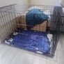 Dog cage Image 2