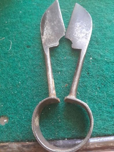antique sheep wool clippers