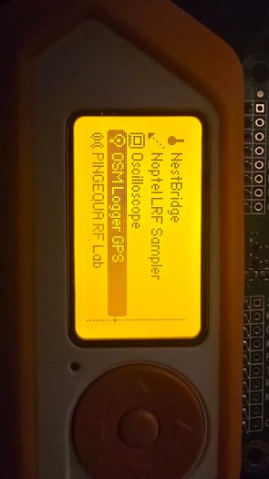 Flipper Zero + wifi dev board + silicone case