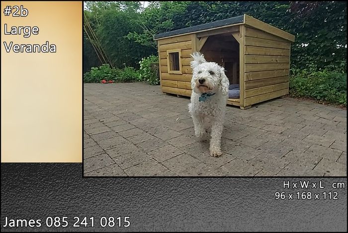 Luxury Dog Kennels