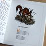 Poetry books: comic verse and illustrated Image 5