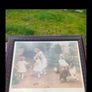 Mahogany Framed picture. love at first sight Image 2