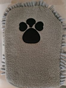 Pet Wash Mitt
