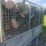 firewood Image 4