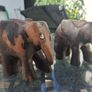 Lovely pair of Vintage Solid Rosewood Wooden Hand Carved Elephants Image 4