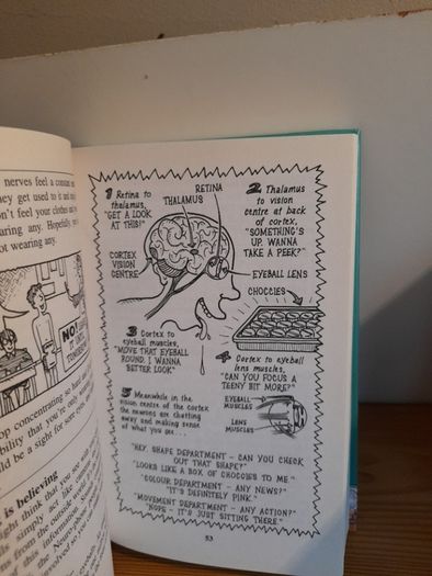 Horrible Science: Bulging Brains and Disgusting Digestion hardback