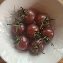Tomato 'Black Cherry' Irish Seeds