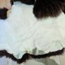 Sweden Sheepskin Rug Image 2