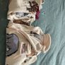 pjs Image 4