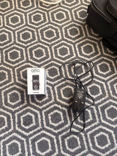 TC Electronic Ditto Looper