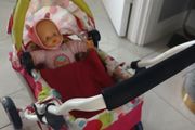 dolls pram