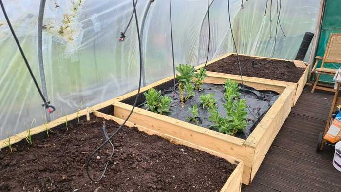 Polytunnel Frame for Sale