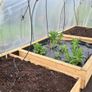 Polytunnel Frame for Sale Image 2