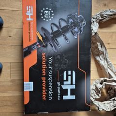 Full Front Struts/Shocks Renault Scenic 2