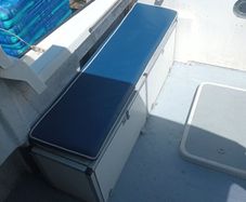SEA Boat with trailer