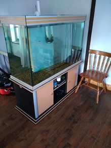 aquarium fish tank