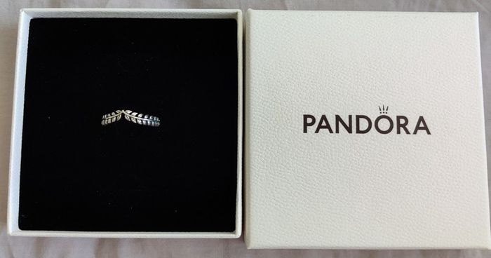Pandora Silver Ring