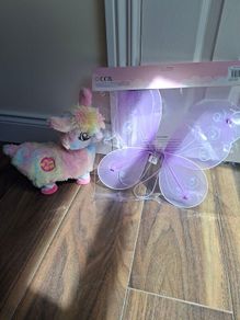 fairy wings