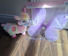 fairy wings