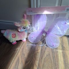 fairy wings
