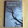 Short stories and poetry by young and amateur Irish writers Image 3