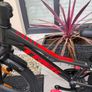 Trek Bike Kids Image 2