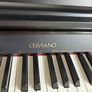 Celviano AP 260 Image 4