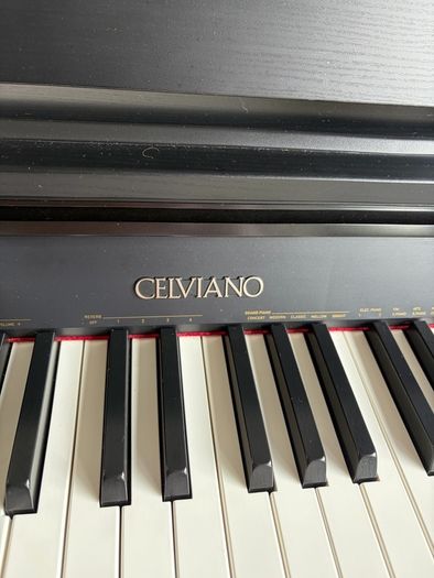Celviano AP 260