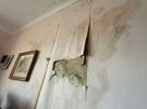 painter and plastering, painting Image 8