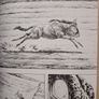 GON by Masashi Tanaka (Manga Dinosaur Adventure Graphic Novel 1995) Image 6