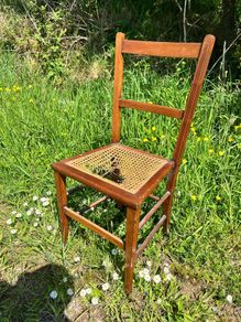 Edwardian Cane Seat Chair