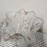 Vase Image 3
