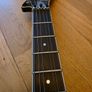 Washburn Culprit DIMEBAG Image 4
