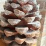 New XXXL frosted detail rustic resin Pinecone with subtle frost detail Image 4