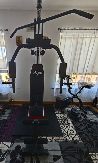 rival multi-gym 1.0