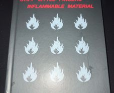 STIFF LITTLE FINGERS | inflammable material
